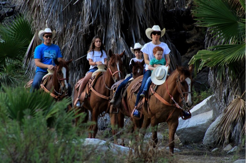 Canyon Horseback Riding