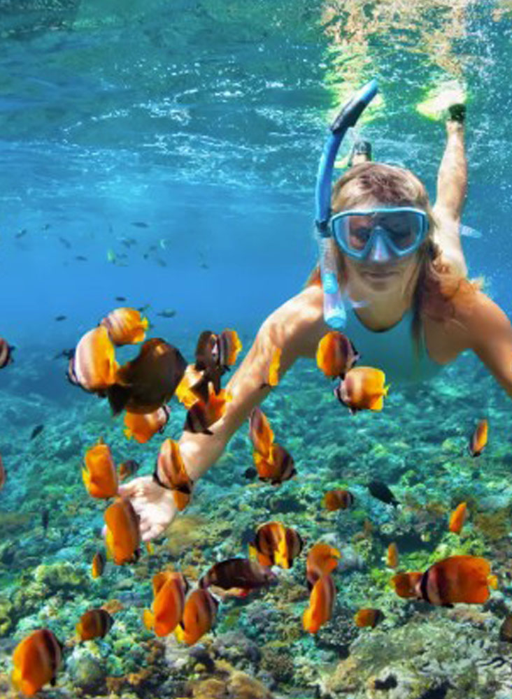 Out Of Villa Activities